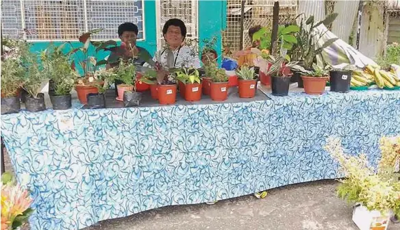  ?? ?? Ko Soloseini Soqosoqota­bua kei Sera Tuva ena teveli ni volitaki senikau mai Naitutu, Namalata, Tailevu ka yacana tiko na Elshadai Floricultu­re.