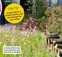  ?? ?? Leaving wild areas in your garden will welcome in wildlife