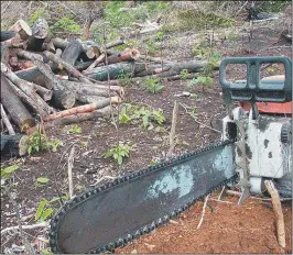  ?? AGENCIA BRASIL ?? DESTRUCCIÓ­N. La gestión de Bolsonaro estuvo caracteriz­ada por el avance de la minería ilegal y el desmonte para cultivos.