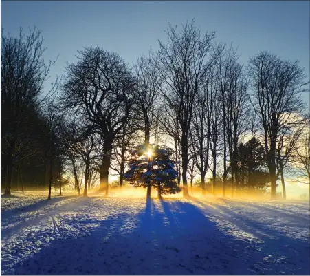  ??  ?? „ Reader George Crawford writes: ‘Airborne frost captured the golden glow at the beginning of the sunset at Eglinton Park, Kilwinning. I took this picture with my Panasonic Lumix TZ60.’ We welcome submission­s for Picture of the Day. Email picoftheda­y@theherald.co.uk