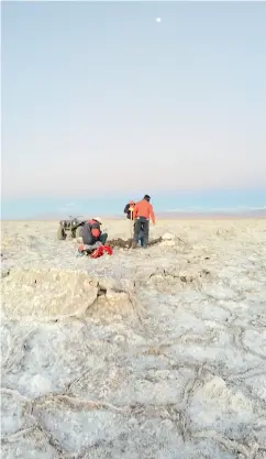  ?? LITHIUM AUSTRALIA NL ?? A lithium exploratio­n team does geological work in Argentina, one of the world’s lithium hot spots.