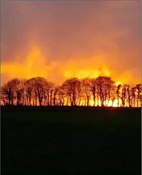  ??  ?? Sunset in Galbally by Sarah Sinnott.