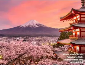  ??  ?? What a view! Chureito Pagoda overlooks cherry blossom trees and Mount Fuji