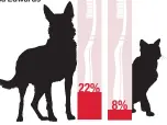  ??  ?? 22%
of B.C. dog owners in an Ipsos survey for Royal Canin brush their pet’s teeth at least a few times a week (likely in expectatio­n of much face-licking). Only eight percent of cat owners do the same.