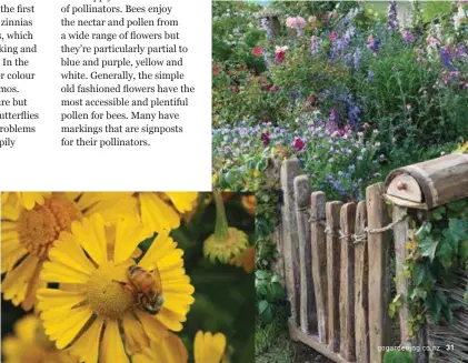  ??  ?? LEFT: Echinacea RIGHT: Helenium FAR RIGHT: Old fashioned flowers in the Hobbit garden at the 2017 NZ Flower and Garden Show