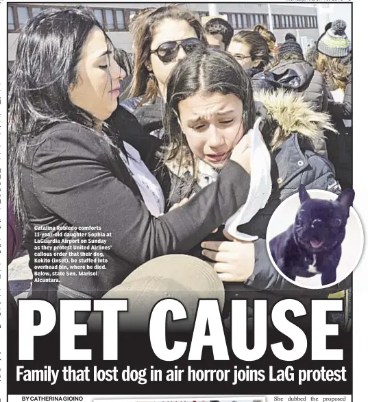  ??  ?? Catalina Robledo comforts 11-year-old daughter Sophia at LaGuardia Airport on Sunday as they protest United Airlines’ callous order that their dog, Kokito (inset), be stuffed into overhead bin, where he died. Below, state Sen. Marisol Alcantara.