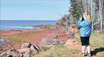  ?? DESIREE ANSTEY/JOURNAL PIONEER ?? Donna Martin, a member of Nature P.E.I., searches the shoreline for sea birds.