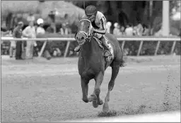  ?? LESLIE MARTIN/COGLIANESE PHOTOS ?? My Miss Tapit, who has shown she can come from off the pace, is 2 for 3 going into Saturday’s Grade 3 Monmouth Oaks.