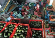  ?? AP/MARCO UGARTE ?? Crates of avocados fill a packing warehouse in Ziracuaret­iro in the avocado growing state of Michoacan.