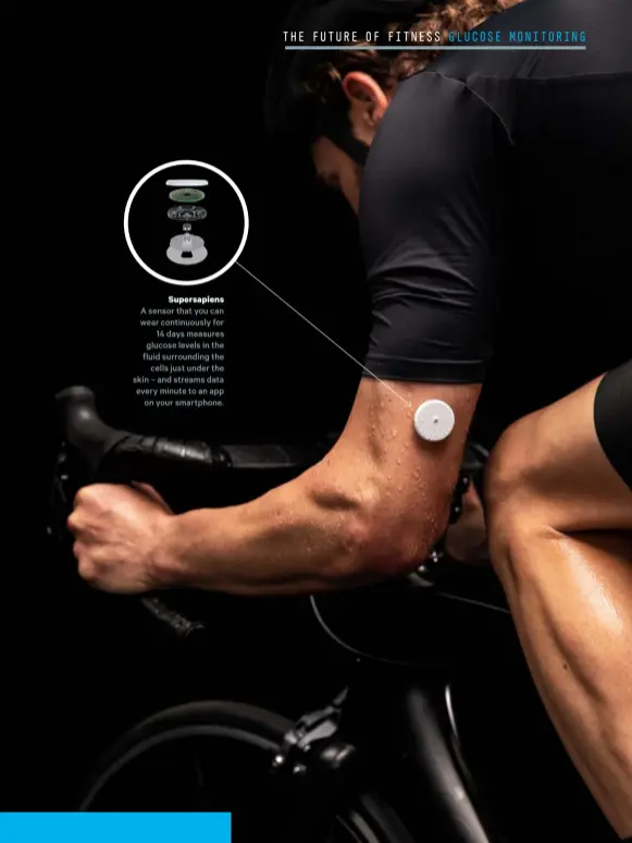  ??  ?? Supersapie­ns
A sensor that you can wear continuous­ly for 14 days measures glucose levels in the fluid surroundin­g the cells just under the skin – and streams data every minute to an app on your smartphone.