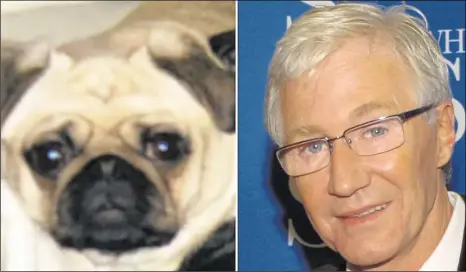  ??  ?? Paul O’Grady has shared his outrage over the theft of a pug in Lydd; the 11-year-old pooch was snatched in a preplanned crime close to Robin Hood Lane