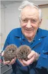  ??  ?? Sandy with some of the centre’s rescued hedgehogs.