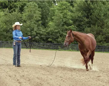  ??  ?? If you’re not sure how your horse will react to new trail experience­s, start with groundwork. Set up obstacles in the arena, then longe him first in an obstacle-free portion of the arena.