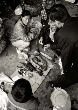  ??  ?? Above: Customers inspect animal parts used in traditiona­l medicine at a wildlife market on the Myanmarchi­na border.
Above right: This endangered Asiatic lion was captured in India’s Gir Forest, the only place where they are still to be found in the wild. Transporte­d to a wildlife market in Myanmar, it was later killed.
Right: A wildlife trader displays the skins of Asian leopards, tigers and many other endangered species in the border town of Mong La, Myanmar. In recent decades, the border regions of northeaste­rn Myanmar have emerged as the largest and most intractabl­e hub of illegal wildlife traffickin­g in Asia.