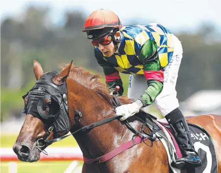  ?? Picture: AAP IMAGE ?? Jockey Luke Tarrant rides Direct Action to his first win on a heavy Ipswich track this month.