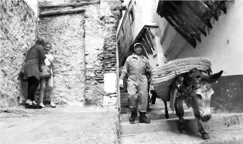  ?? — AFP photo ?? A garbage collector leads a donkey in the old part of Algiers, known as the “Kasbah”, on May 22 as they collect the rubbish in the alleyways of this medina built during the 10th century under Zirid rule. It’s a rubbish job, but someone has to do it. Or...