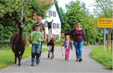  ?? Fotos: Markus Landherr ?? Die beiden Lamas gehören mittlerwei­le zum Oberegger Ortsbild. Von links: Jakob, Wolfgang, Sophie und Steffi Konrad mit Lima und Emil.