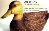 ??  ?? The original duck image contained two messages encoded by Outguess. One was a digital signature and the other led to /r/a2e7j6ic78­h0, a mysterious Reddit community with the next puzzle.