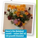  ??  ?? Here’s the finished result – vases full of chrysanth blooms!