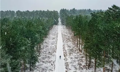  ?? ?? Walk out to winter … a stroll without a camera crew can be a lonely business. Photograph: Justin Paget/Getty Images