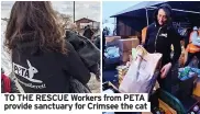  ?? ?? TO THE RESCUE Workers from PETA provide sanctuary for Crimsee the cat