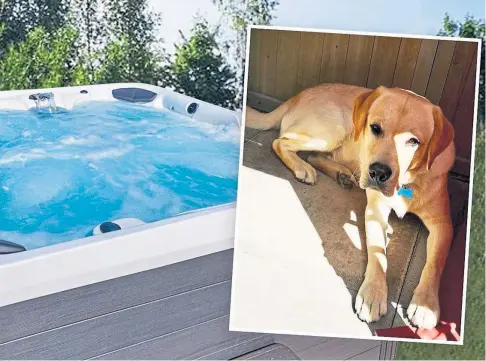  ??  ?? HAZARD: One-year-old Cooper needed emergency treatment after licking the hot tub foam which contains chemicals.