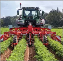  ?? ?? LEMKEN’S STEKETEE EC-Ridger can gently tease out weeds and then return the ridge to shape