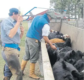  ??  ?? Prevención. La vacunación es la principal medida de seguridad contra los brotes.