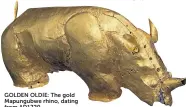  ??  ?? GOLDEN OLDIE: The gold Mapungubwe rhino, dating from AD1220