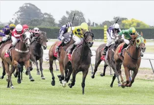  ?? PHOTO: RACE IMAGES CHRISTCHUR­CH ?? Muscle man . . . Tommy Tucker (far right) will carry the top weight of 60kg in today’s group 3 White Robe Lodge Handicap. Pepper Mill (yellow colours) will be one of his rivals.