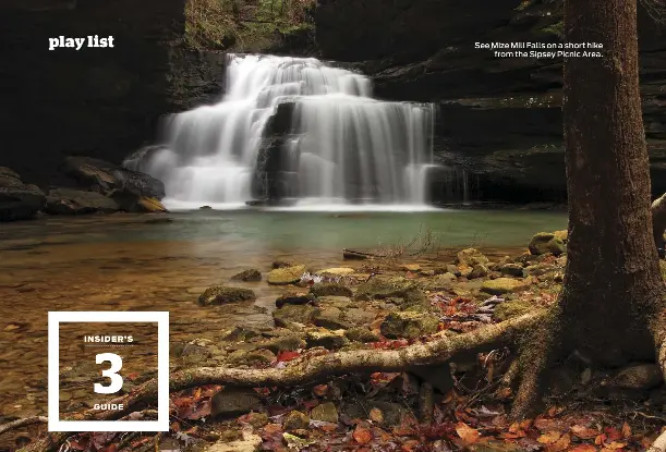 Insider S Guide Bankhead National Forest Al Pressreader
