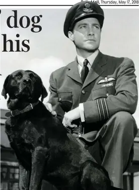  ??  ?? 1955 film: The dog with Richard Todd, playing Guy Gibson