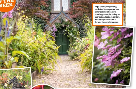  ??  ?? Left, after a few planting mistakes Sean’s garden has emerged into a beautiful country garden, including an orchard and co age garden. Below, copious clematis tumble through the garden