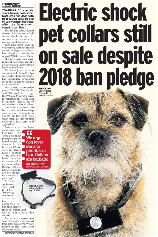  ??  ?? We urge dog lover Boris to prioritise a ban. Collars are barbaric RITA JAMES