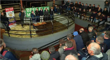  ?? Photo by Declan Malone ?? Speakers and listeners at the Beef Plan meeting in Dingle Mart on Friday evening.