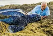  ?? GAVIN THURSTON BBC ?? In “Blue Planet II,” David Attenborou­gh, a staple of nature documentar­ies, goes to Trinidad to meet a community trying to save the leatherbac­k turtle.