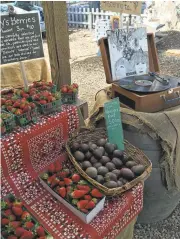  ?? COURTESY OF AMBER TURPIN ?? Before heading out for a day of wine-tasting in the Arroyo Grande Valley, pick up picnic fare at the Rutiz Family Farms farmstead, where you can buy organic produce and locally made foods and pick up an old cookbook at the library table.