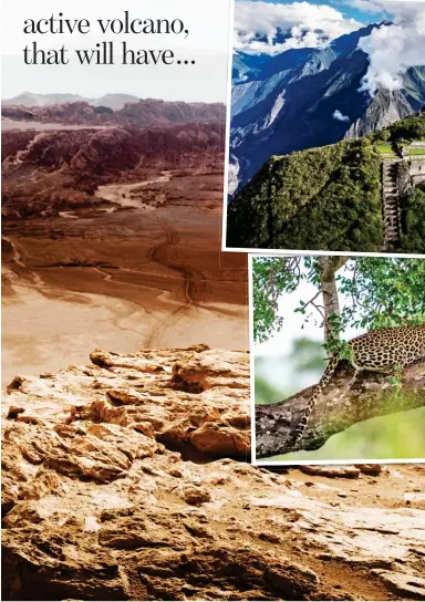  ??  ?? LUNAR
LANDSCAPE: A visitor takes in the views of Chile’s Atacama Desert, main picture. Top: Inca ruins at Choquequir­ao. Above: A leopard rests on a tree in Sri Lanka