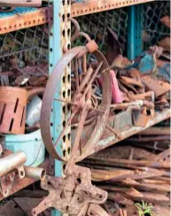  ??  ?? Scrap metal, from wheels to pipes and hinges to cylinders, spills out of the shelves in Helen’s workspace under the sky. The rust only helps to add realistic colour to some of the wildlife she creates.