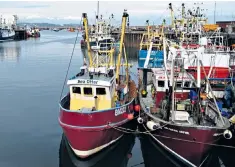  ?? ?? Radio 4 investigat­ed why UK fish and seafood, from ports such as Brixham, is exported