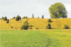  ??  ?? Zentrum der Schlacht: der Albuch mit seinem gemauerten Obelisken.