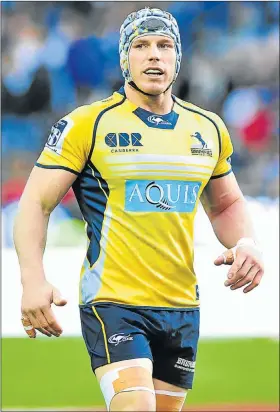  ?? Picture: BACKPAGEPI­X ?? YELLOW PERIL: David Pocock is the Brumbies’ breakdown specialist