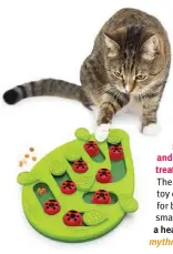  ?? ?? Curious cats will love batting pegs, swivelling leaves, and uncovering 16 hidden treat compartmen­ts.
The Buggin’ Out Puzzle toy can be adjusted for beginners or for smarty cats. Encourages a healthy eating pace! mythreecat­s.com