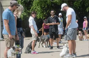  ?? Emily Matthews/Post-Gazette photos ?? Dog trainer Vinnie Somma leads a training class outside Heinz Field on the North Shore.