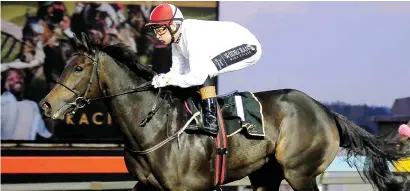  ??  ?? BEST RIDE. Polyphonic, who runs in Race 10 at Turffontei­n today, is Piere Strydom's best hope for a winner at the meeting.