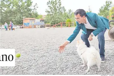  ?? ANTONIO L. JUÁREZ ?? Paco Cuenca, candidato a la reelección por el PSOE para la Alcaldía de Granada, ayer, jugando con un perro.