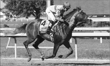  ?? BARBARA WEIDL/EQUI-PHOTO ?? Pavel, winning the Grade 3 Smarty Jones last month, will be a longshot at the Breeders’ Cup.