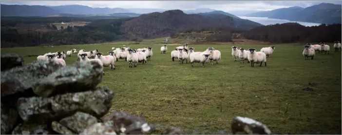  ?? Ref: RH15032404­7 ?? Ballaggan and Balchragga­n farms are situated between the Monadhliat­h Moutains overlookin­g Loch Ness