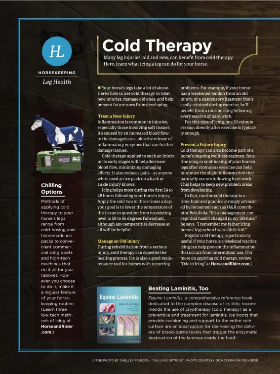  ??  ?? Cold therapy can be as simple as hosing your horse’s legs with chilly water, as any temperatur­e decrease is helpful in reducing inflammati­on.