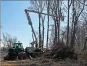  ?? LESLIE KROWCHENKO - DIGITAL FIRST MEDIA ?? Workers clear trees on Judy Way in Aston as they start work on the company’s Mariner East 2 pipeline.